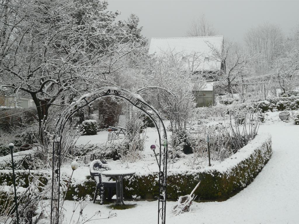 Haus Mit Aussicht Appartement Horn-Bad Meinberg Buitenkant foto