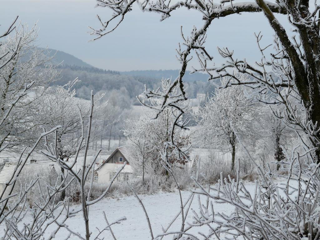 Haus Mit Aussicht Appartement Horn-Bad Meinberg Buitenkant foto